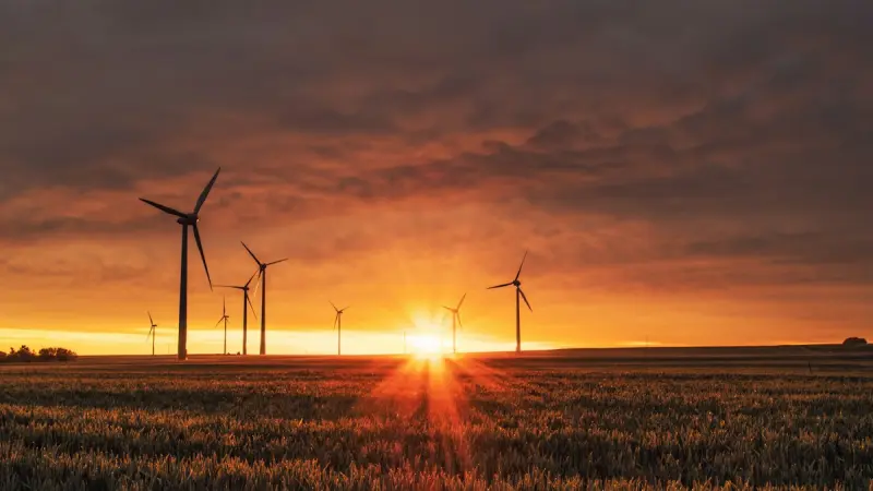 ترجمة تقارير الاستدامة والحوكمة البيئية ESG في الإمارات 2026