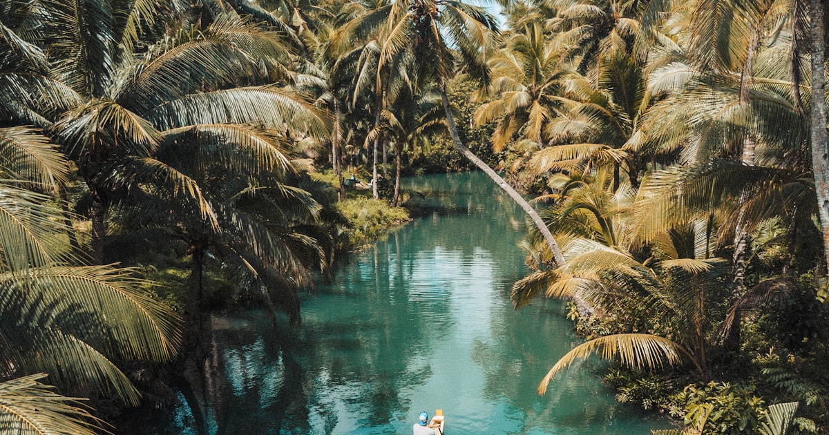 ابو ظبی اور دبئی میں ڈرائیونگ لائسنس کا ترجمہ